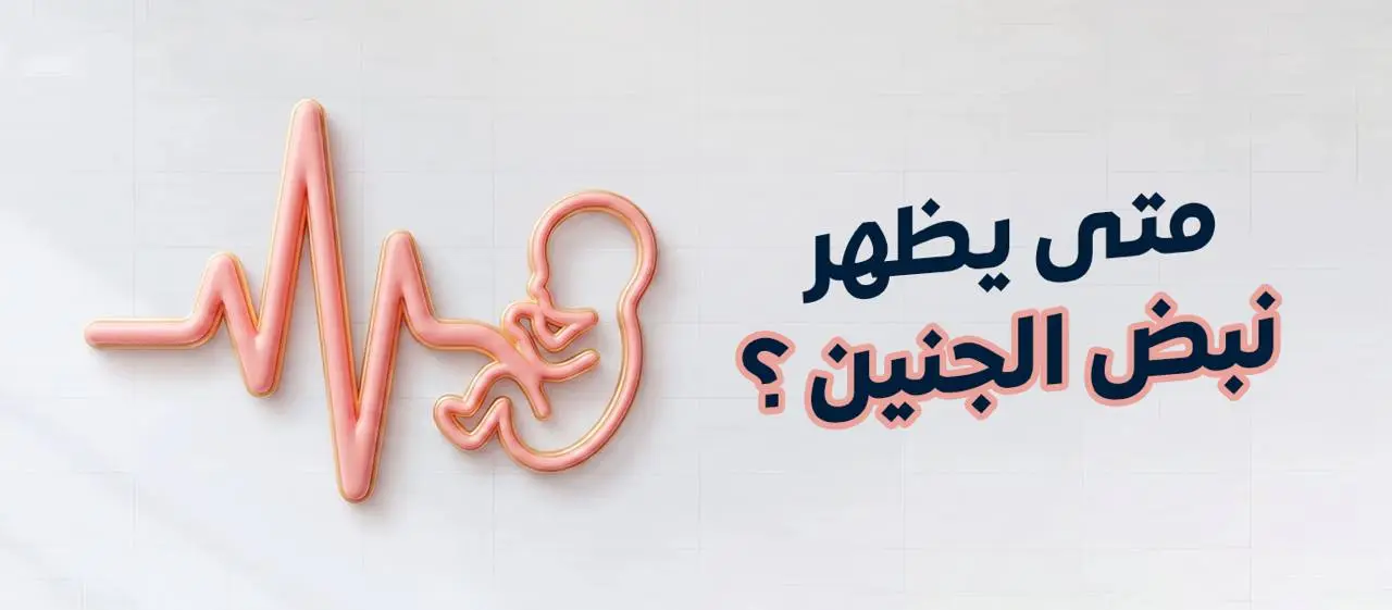متى يظهر نبض الجنين وأسباب تأخر ظهوره في بداية الحمل